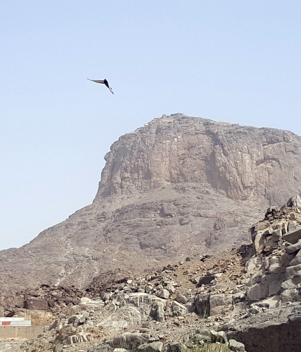 23 MART 20 GUN ŞEVVAL  *** YILIN SON ÜMRESİ ***